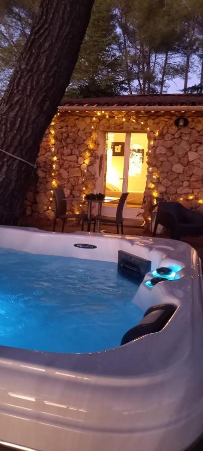 Gite Avec Spa Jacuzzi Au Coeur De Provence Cote D'Azur Saint-Antonin-du-Var Экстерьер фото